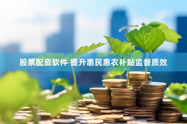 股票配资软件 提升惠民惠农补贴监督质效